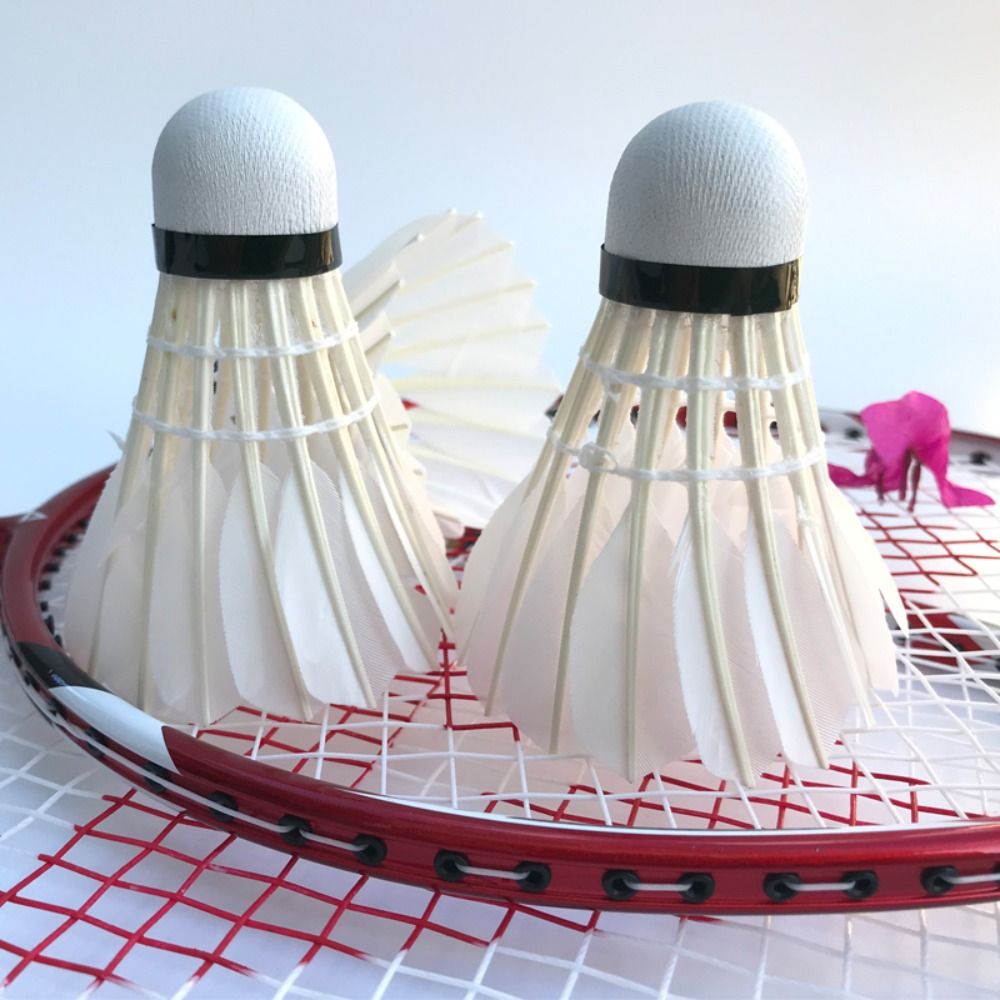 Volant de Badminton blanc, bal - Badminton Event avis et prix