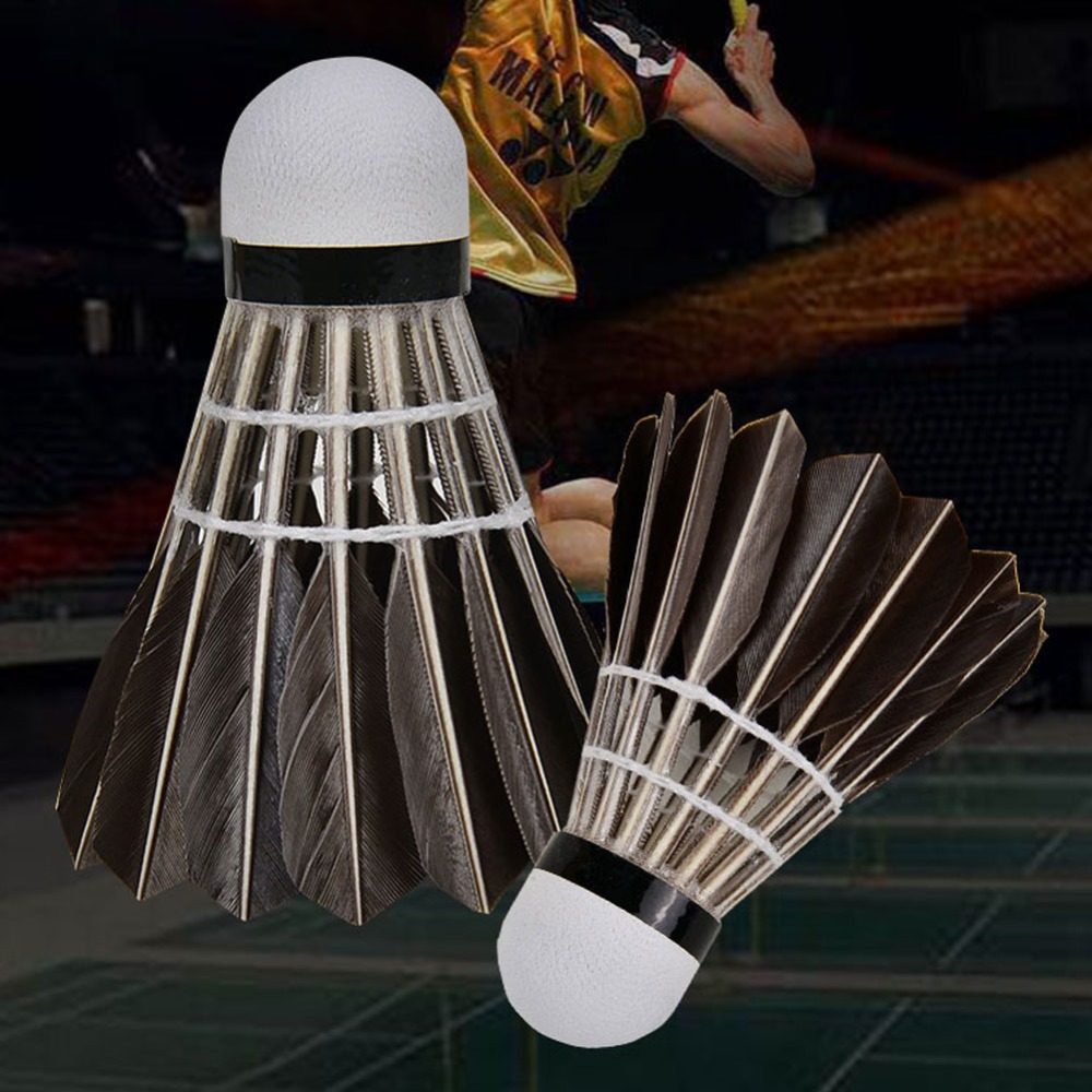 3/6/12 pièces Accessoires de b - Badminton Event avis et prix